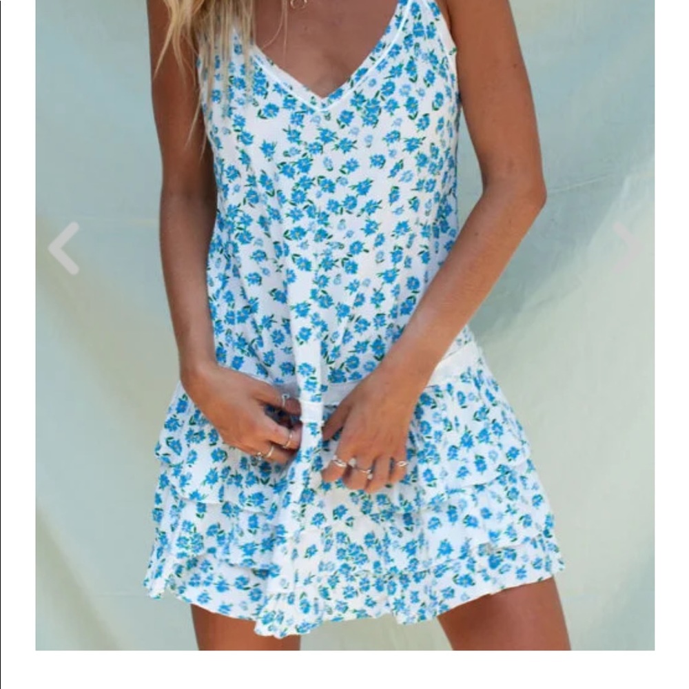 NWT Isabella's Cabinet dress
